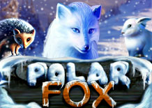 Игровой автомат Polar Fox